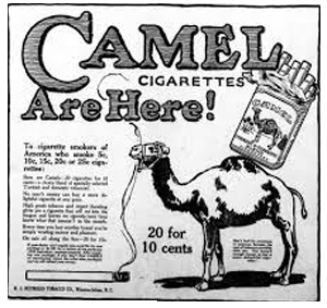 Camel Advert